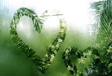 亚洲代表队在排球比赛中表现出色