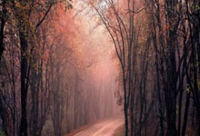 精彩绝伦决赛圆满落幕,佳绩喜获观众热烈欢呼