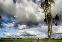 特立尼达和多巴哥女篮表现惊艳