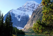 精彩绝伦决赛圆满落幕,佳绩喜获观众热烈欢呼