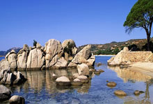 精彩绝伦决赛圆满落幕，佳绩喜获观众热烈欢呼