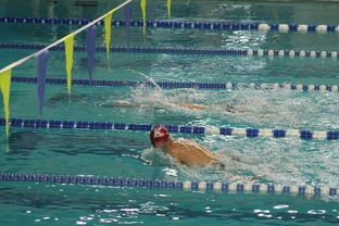 爱游戏体育-“新加坡泳池见证泳坛巨星！2025世界游泳锦标赛激烈开赛”  第3张